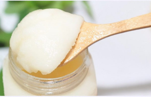 正宗椴樹蜜多少錢一斤是真的？(椴樹蜜有什么好處)