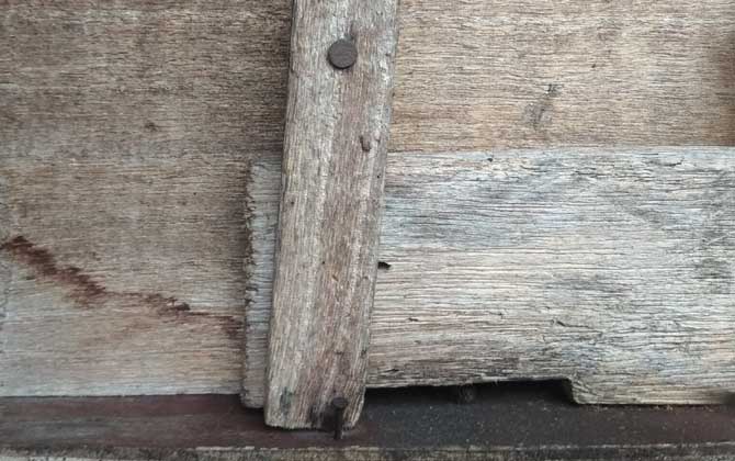 新蜂箱有味道怎么處理(新蜂箱的氣味怎么處理) 新蜂箱有味道怎么處理(新蜂箱的氣味怎么處理)