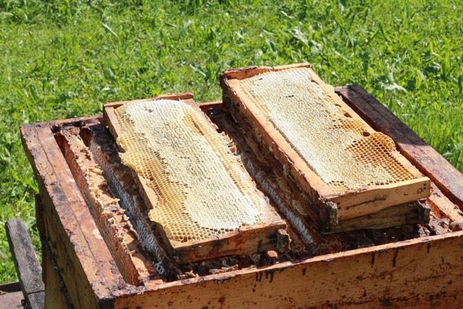 塑料巢礎(chǔ)怎么安裝? 塑料巢礎(chǔ)怎么安裝?