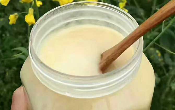 一百畝油菜花產多少蜜（油菜花蜜的特點）