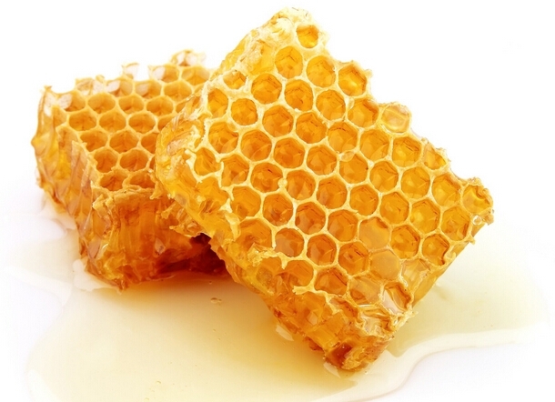 馬蜂用什么東西筑巢（馬蜂拿什么來做窩）