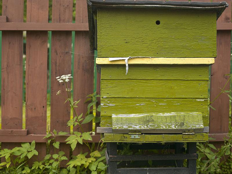 蜜蜂養殖規模化的理解(蜜蜂養殖規模化的必然趨勢) 蜜蜂養殖規模化的理解(蜜蜂養殖規模化的必然趨勢)