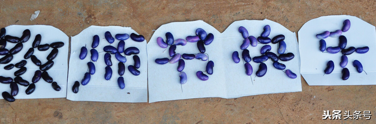 今天是教師節，你最想對老師說什么？