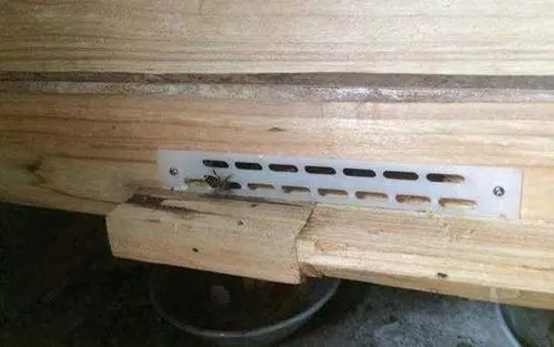 防逃片可以長期使用嗎 防逃片可以長期使用嗎