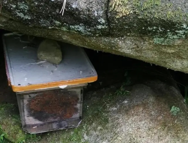 防逃片可以長期使用嗎 防逃片可以長期使用嗎