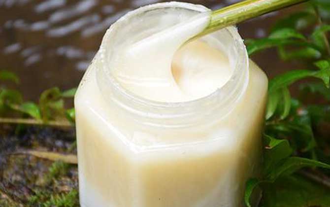 鴨腳木蜜多少錢一斤(鴨腳木蜜價(jià)格多少錢一斤) 鴨腳木蜜多少錢一斤(鴨腳木蜜價(jià)格多少錢一斤)