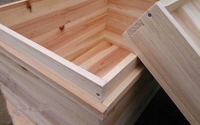 養土蜂什么蜂箱最好(土養蜜蜂用什么蜂箱) 養土蜂什么蜂箱最好(土養蜜蜂用什么蜂箱)