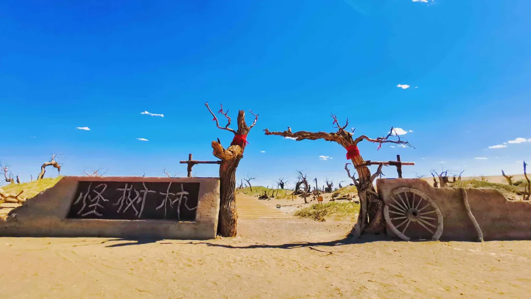 中秋出行！新晉黑馬目的地TOP10，小眾海島、賞秋秘境、文化慢城