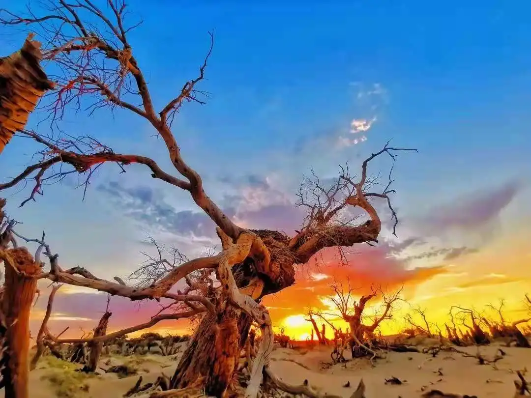 中秋出行！新晉黑馬目的地TOP10，小眾海島、賞秋秘境、文化慢城