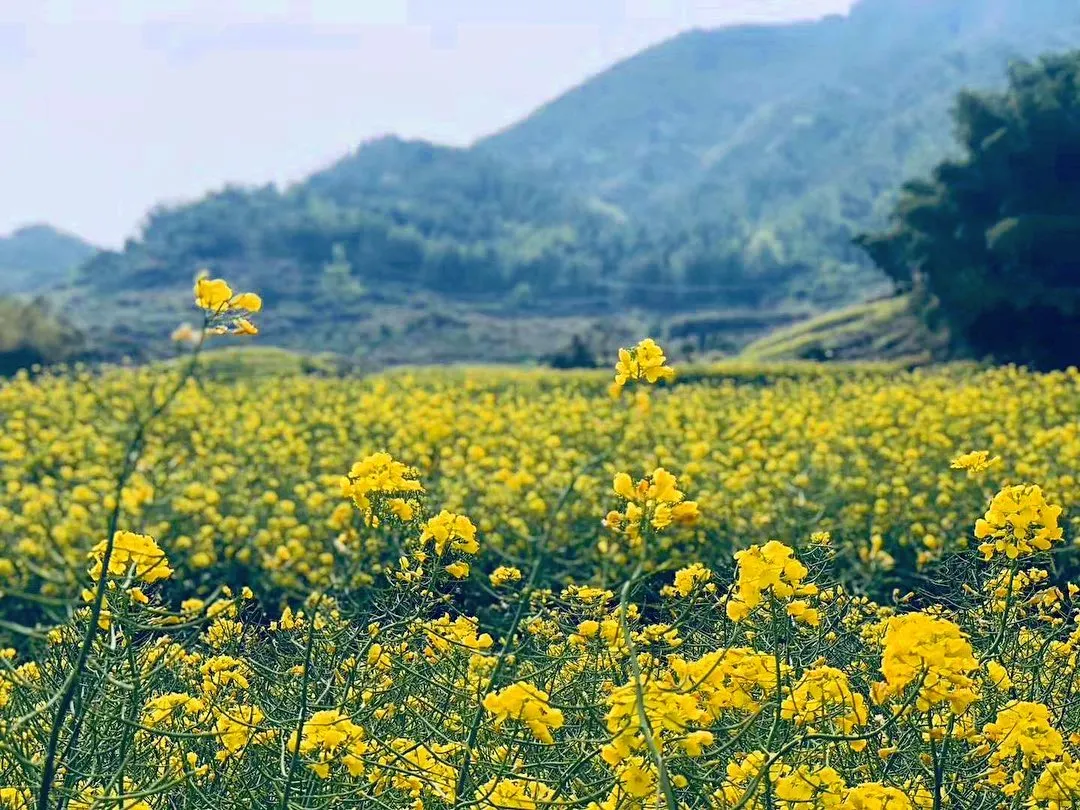 中秋出行！新晉黑馬目的地TOP10，小眾海島、賞秋秘境、文化慢城