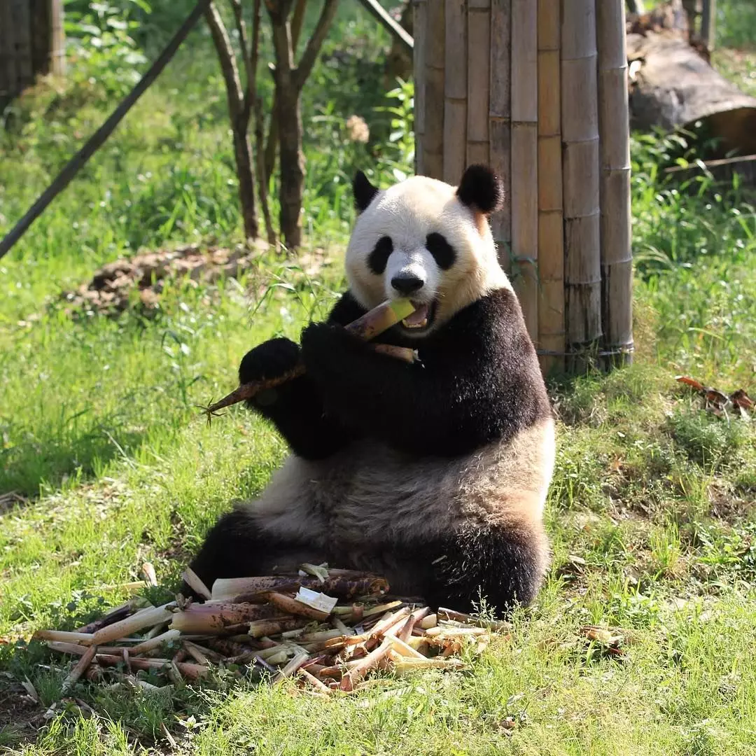 中秋出行！新晉黑馬目的地TOP10，小眾海島、賞秋秘境、文化慢城