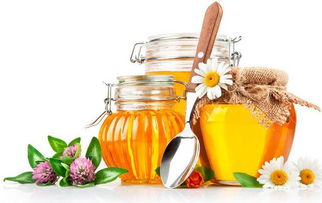 蜂王是蜜蜂中最大的還是最小的(蜂王比公蜂體形大嗎) 蜂王是蜜蜂中最大的還是最小的(蜂王比公蜂體形大嗎)