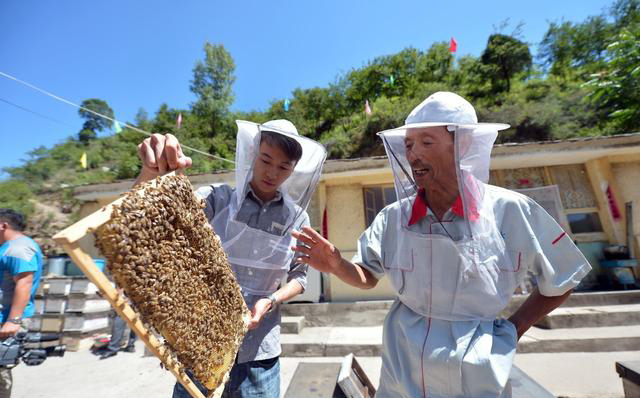如何注冊(cè)養(yǎng)蜂公司(注冊(cè)公司步驟) 如何注冊(cè)養(yǎng)蜂公司(注冊(cè)公司步驟)