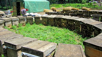 中蜂蜂場(chǎng)怎么防治馬蜂(中蜂防胡蜂的最佳方法) 中蜂蜂場(chǎng)怎么防治馬蜂(中蜂防胡蜂的最佳方法)