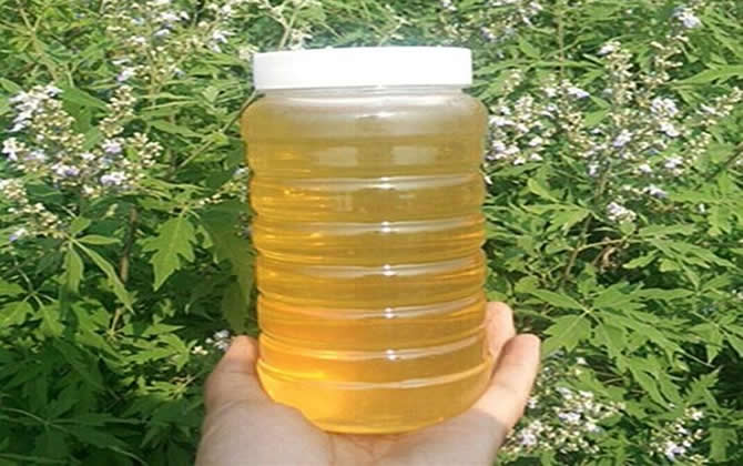 荊花蜜和槐花蜜哪個(gè)好 荊花蜜和槐花蜜哪個(gè)好