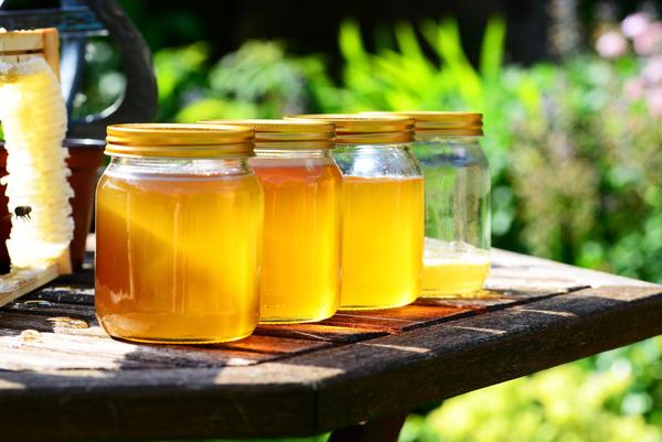 什么是蜂巢(蜂巢的作用和功效) 什么是蜂巢(蜂巢的作用和功效)