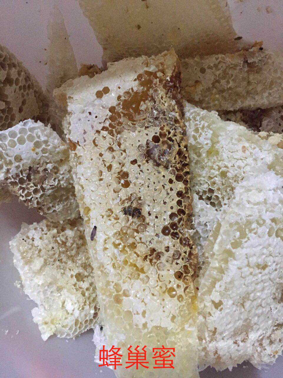 養(yǎng)中蜂的詳細(xì)技術(shù)方法要點（中蜂養(yǎng)殖發(fā)展快的技巧）