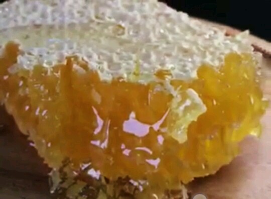 阿壩中蜂的養殖方法有哪些(四川阿壩中蜂春季飼養技術) 阿壩中蜂的養殖方法有哪些(四川阿壩中蜂春季飼養技術)