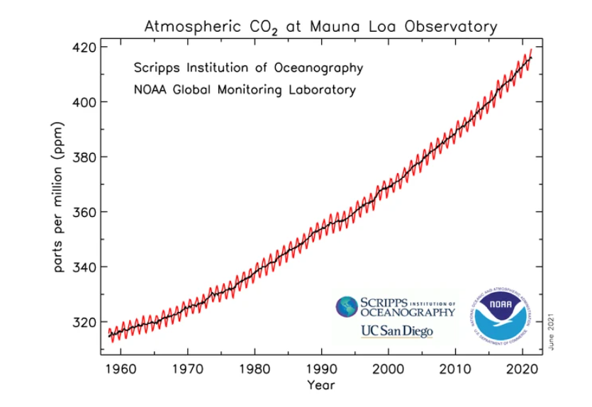 赤道附近喀麥隆罕見降雪！人類正處在大冰期中，全球變暖錯了？