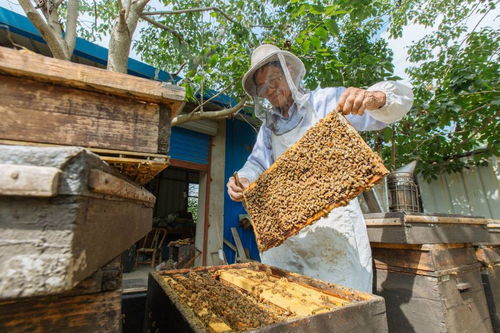 什么養殖業比較靠譜掙錢(養殖業什么最穩成本低) 什么養殖業比較靠譜掙錢(養殖業什么最穩成本低)
