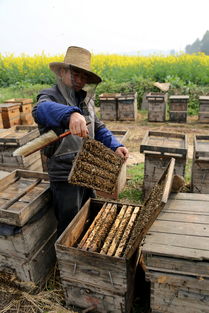 什么養殖業比較靠譜掙錢(養殖業什么最穩成本低) 什么養殖業比較靠譜掙錢(養殖業什么最穩成本低)