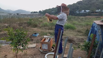 什么養殖業比較靠譜掙錢(養殖業什么最穩成本低) 什么養殖業比較靠譜掙錢(養殖業什么最穩成本低)