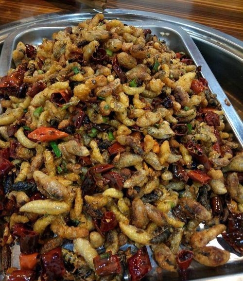 胡蜂養殖市場分析（學點皮毛輕松掌握胡蜂養殖技術）