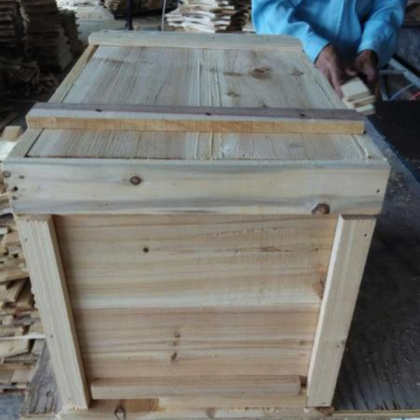 中蜂格子箱最大的缺點是什么(中蜂格子箱最佳尺寸) 中蜂格子箱最大的缺點是什么(中蜂格子箱最佳尺寸)