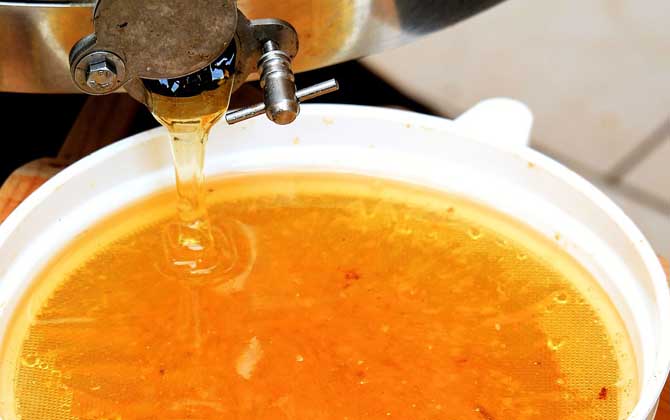 蜂蜜有什么功效與用途(蜂蜜的功效與作用) 蜂蜜有什么功效與用途(蜂蜜的功效與作用)