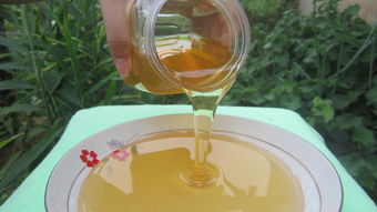 冬天怎么取蜂蜜(蜜蜂冬天可以取蜜嗎) 冬天怎么取蜂蜜(蜜蜂冬天可以取蜜嗎)