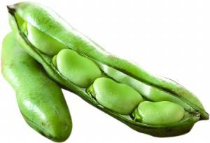 蠶豆與豌豆的區別是什么(蠶豆與豌豆的區別) 蠶豆與豌豆的區別是什么(蠶豆與豌豆的區別)