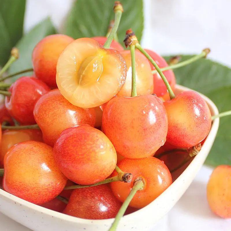 為什么車厘子比櫻桃貴很多(車厘子和櫻桃的區別) 為什么車厘子比櫻桃貴很多(車厘子和櫻桃的區別)