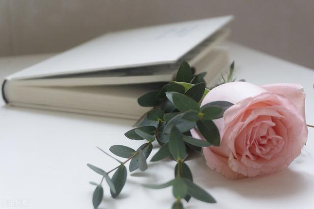 予人玫瑰手有余香是什么意思(贈人玫瑰手有余香的精神) 予人玫瑰手有余香是什么意思(贈人玫瑰手有余香的精神)