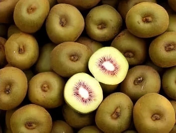 常見的獼猴桃有哪些種類(市面上常見的10種獼猴桃品種) 常見的獼猴桃有哪些種類(市面上常見的10種獼猴桃品種)