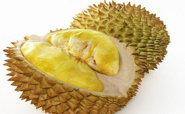 榴蓮原產(chǎn)地是中國嗎(榴蓮產(chǎn)地和傳入時間) 榴蓮原產(chǎn)地是中國嗎(榴蓮產(chǎn)地和傳入時間)