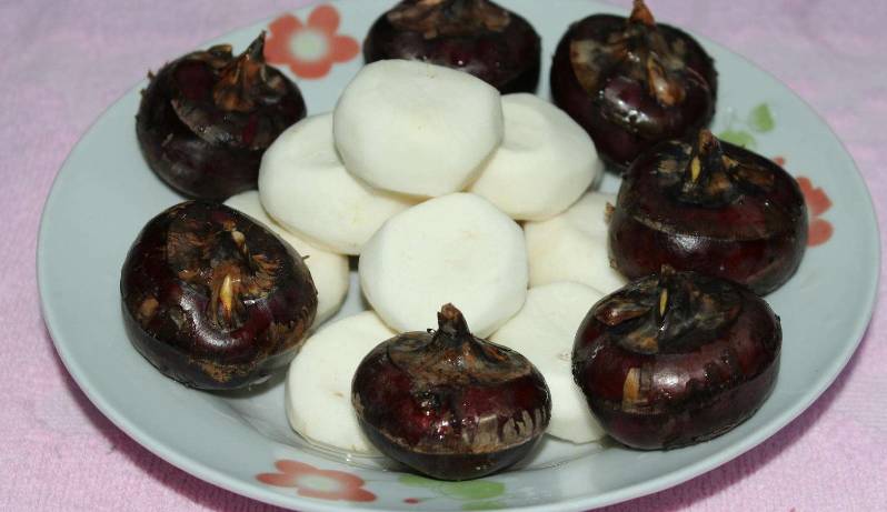 水果荸薺怎么讀(荸薺的正確發(fā)音) 水果荸薺怎么讀(荸薺的正確發(fā)音)