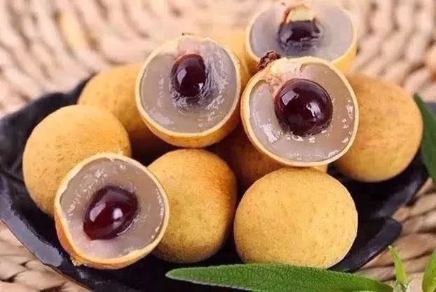 最好吃的龍眼在哪里(中國十大最好吃的龍眼排名) 最好吃的龍眼在哪里(中國十大最好吃的龍眼排名)