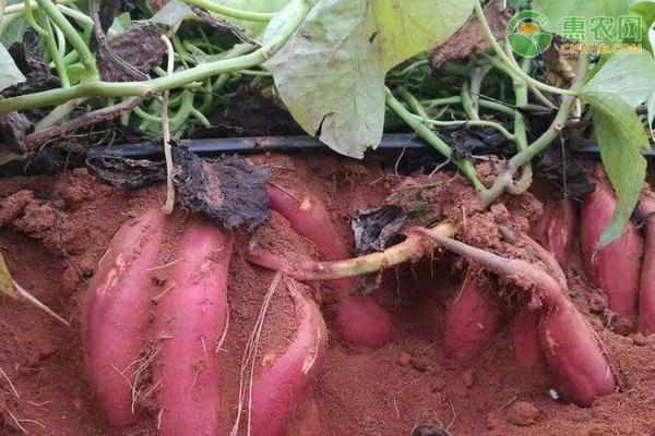 20240416221137_632804.jpg d2f238174f394b16809a13a9f59a3ddd.jpg