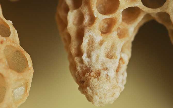 蜜蜂王臺(tái)是怎么形成的？