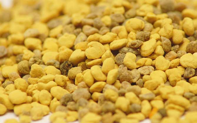 蜂花粉的作用與功效有哪些？經常吃些蜂花粉，這7個好處跑不了！