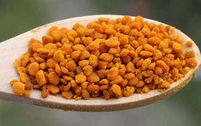 茶花粉的功效與作用有哪些？經(jīng)常吃些茶花粉，這6個好處跑不了！