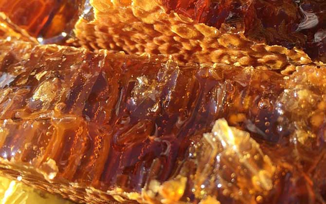 蜂巢酒的禁忌有哪些？除了不能過量飲用，還要警惕發生過敏反應！