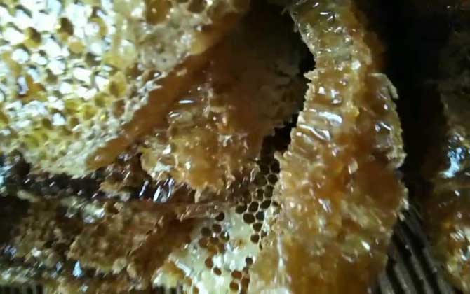 純土蜂蜜一斤多少錢？基本都在100元以上，低于60元想都不用想！