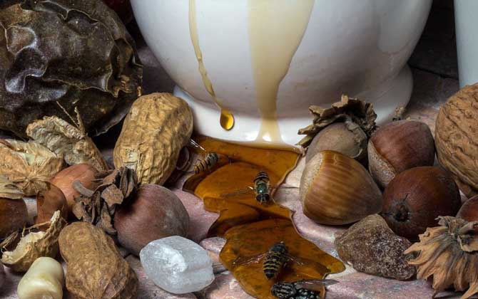 蜂蜜變黑了還能吃嗎？關(guān)鍵看變黑的原因，若是變質(zhì)了則不能再吃！