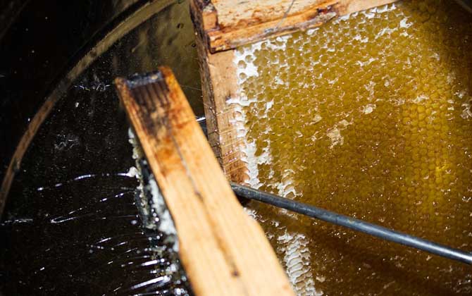 真蜂蜜大概多少錢(qián)一斤？最便宜的都要50元，有些甚至要200多元！