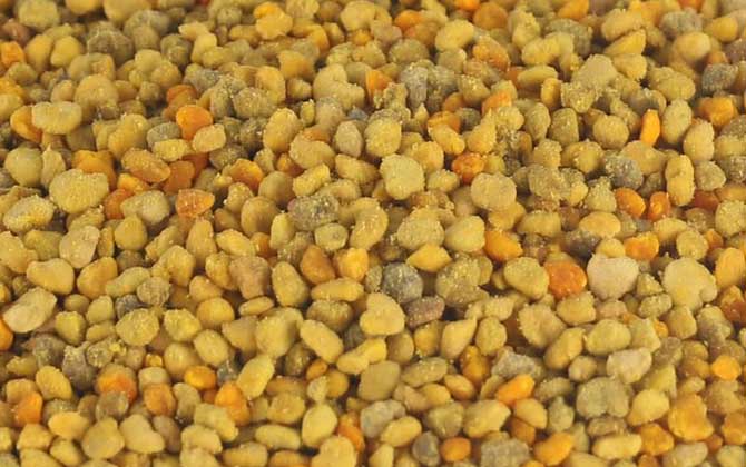 長期吃花粉會(huì)導(dǎo)致乳腺結(jié)節(jié)嗎？事實(shí)上花粉對乳腺結(jié)節(jié)有預(yù)防作用！