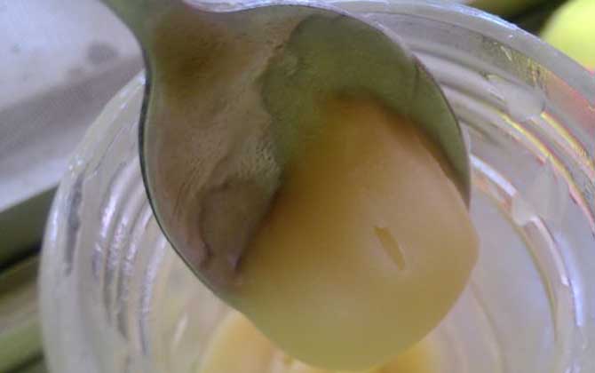 蜂蜜結晶了怎么融化？非常簡單，只需適當提高環境溫度便能融化！