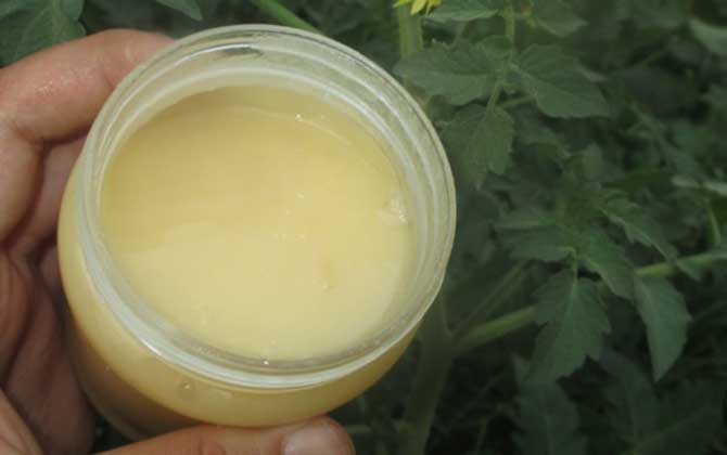 天天喝蜂蜜會不會發胖？看食用量，適量能減肥，過量越喝越胖！