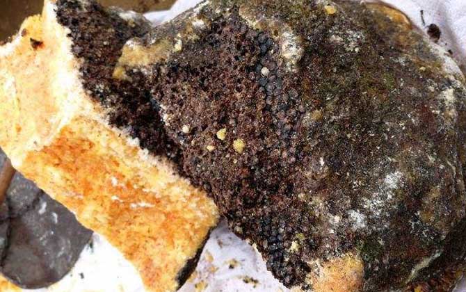 石蜜是什么東西？和蜂蜜沒有任何關系，騙子常用來欺騙消費者！