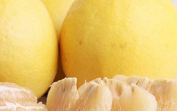 自制蜂蜜柚子茶怎么做？只需5步就能做好，既簡單又好喝！